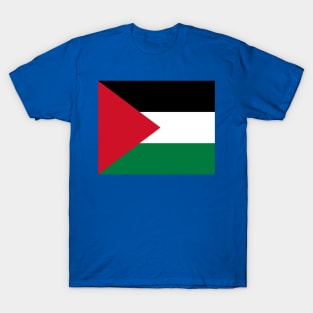 State of Palestine (Dawlat Filasṭīn)-2 T-Shirt